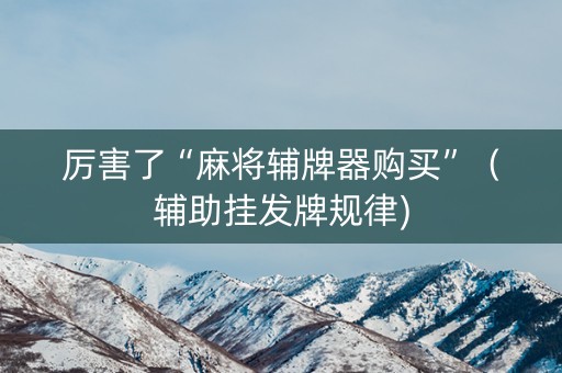 厉害了“麻将辅牌器购买”（辅助挂发牌规律)