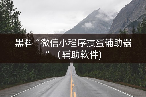 黑料“微信小程序掼蛋辅助器”（辅助软件)