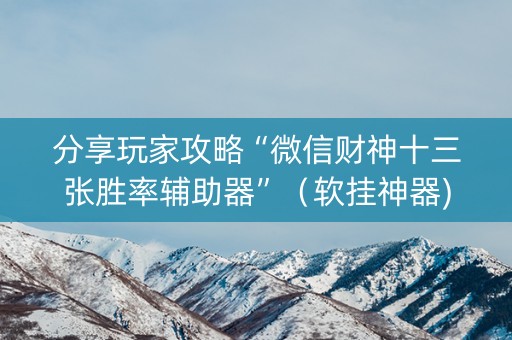分享玩家攻略“微信财神十三张胜率辅助器”（软挂神器)