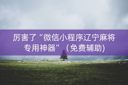 厉害了“微信小程序辽宁麻将专用神器”（免费辅助)
