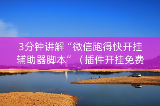 3分钟讲解“微信跑得快开挂辅助器脚本”（插件开挂免费AI)
