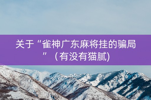 关于“雀神广东麻将挂的骗局”（有没有猫腻)