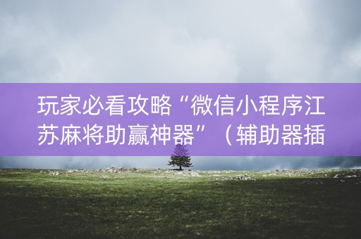 玩家必看攻略“微信小程序江苏麻将助赢神器”（辅助器插件)