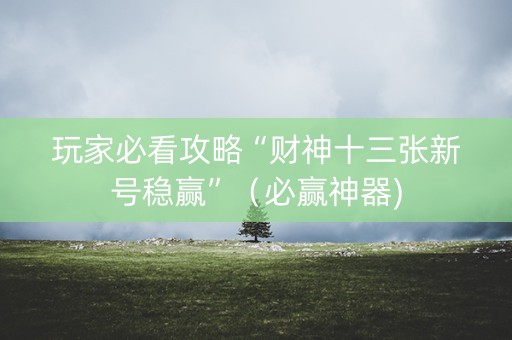 玩家必看攻略“财神十三张新号稳赢”（必赢神器)