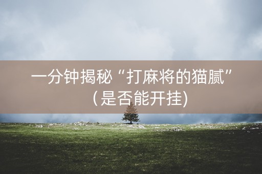 一分钟揭秘“打麻将的猫腻”（是否能开挂)