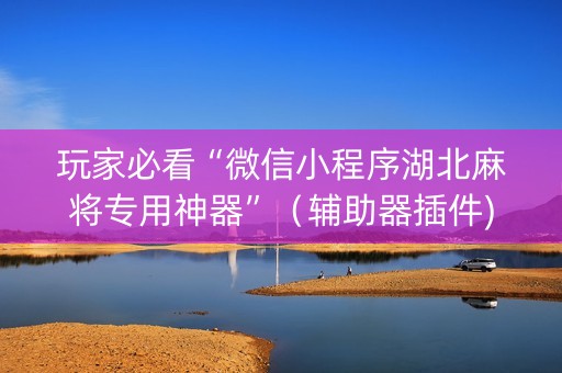 玩家必看“微信小程序湖北麻将专用神器”（辅助器插件)