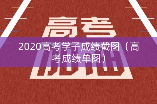 2020高考学子成绩截图（高考成绩单图）