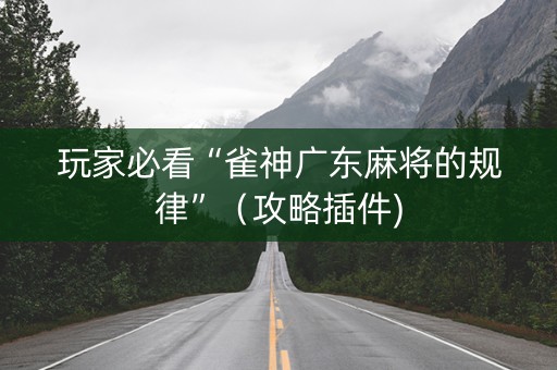 玩家必看“雀神广东麻将的规律”（攻略插件)