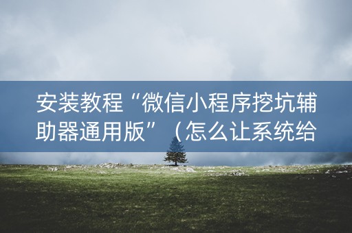 安装教程“微信小程序挖坑辅助器通用版”（怎么让系统给自己好牌)