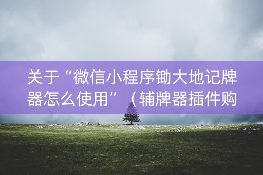关于“微信小程序锄大地记牌器怎么使用”（辅牌器插件购买)