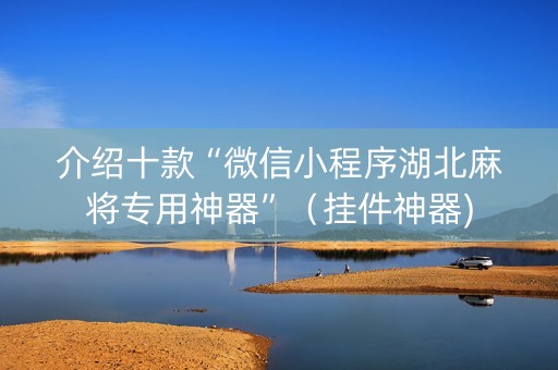 介绍十款“微信小程序湖北麻将专用神器”（挂件神器)