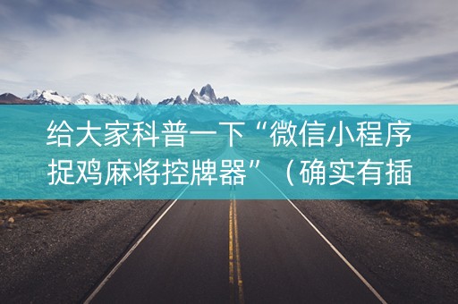 给大家科普一下“微信小程序捉鸡麻将控牌器”（确实有插件吗)