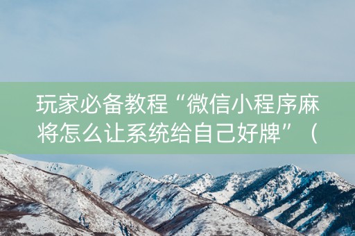 玩家必备教程“微信小程序麻将怎么让系统给自己好牌”（外辅工具)