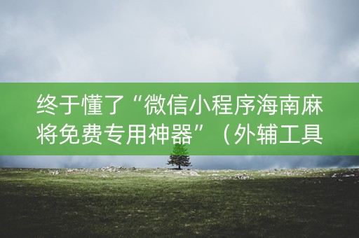 终于懂了“微信小程序海南麻将免费专用神器”（外辅工具)