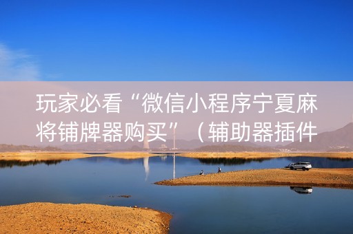 玩家必看“微信小程序宁夏麻将铺牌器购买”（辅助器插件)