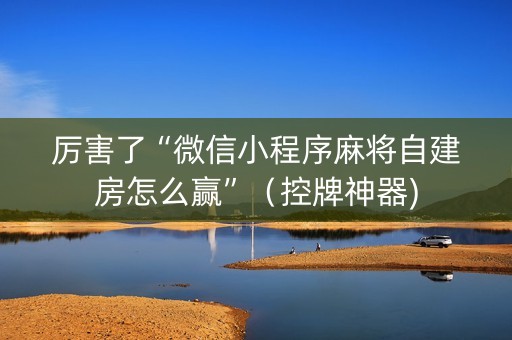 厉害了“微信小程序麻将自建房怎么赢”（控牌神器)