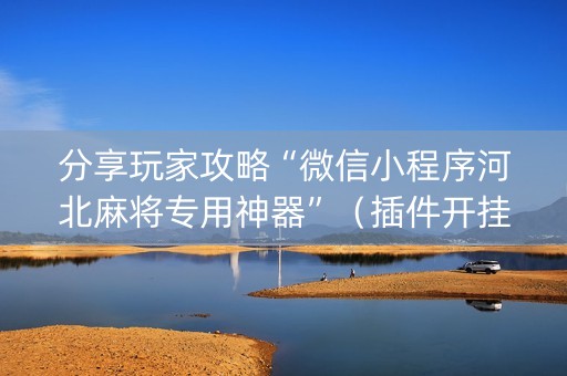 分享玩家攻略“微信小程序河北麻将专用神器”（插件开挂免费AI)