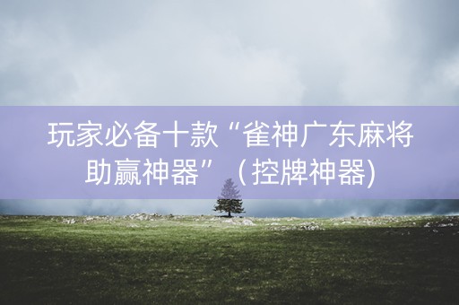 玩家必备十款“雀神广东麻将助赢神器”（控牌神器)