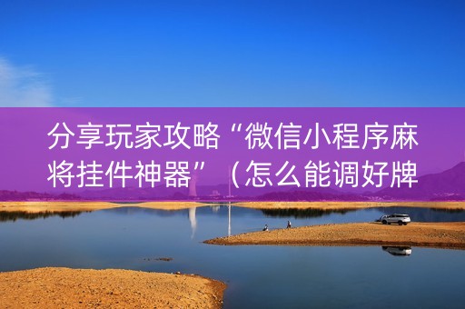 分享玩家攻略“微信小程序麻将挂件神器”（怎么能调好牌)