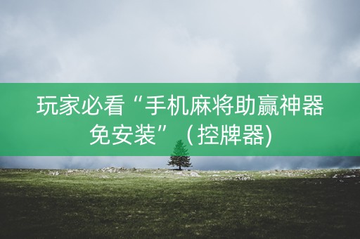 玩家必看“手机麻将助赢神器免安装”（控牌器)