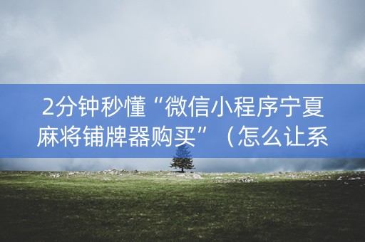 2分钟秒懂“微信小程序宁夏麻将铺牌器购买”（怎么让系统给自己好牌)