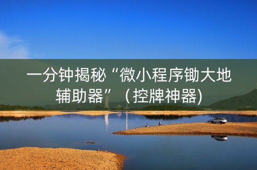 一分钟揭秘“微小程序锄大地辅助器”（控牌神器)