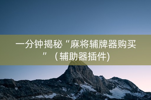 一分钟揭秘“麻将辅牌器购买”（辅助器插件)