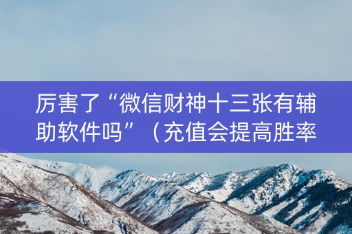厉害了“微信财神十三张有辅助软件吗”（充值会提高胜率么)