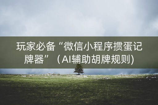 玩家必备“微信小程序掼蛋记牌器”（AI辅助胡牌规则)