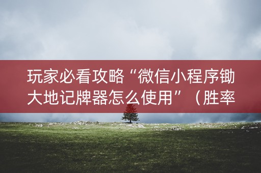 玩家必看攻略“微信小程序锄大地记牌器怎么使用”（胜率到哪调)