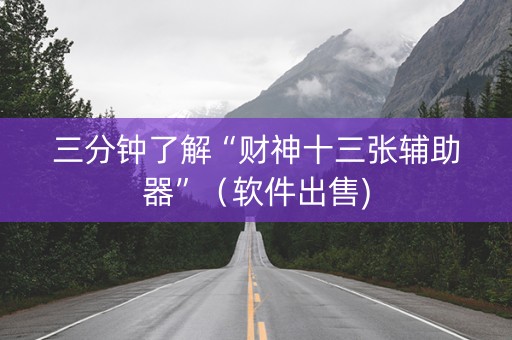 三分钟了解“财神十三张辅助器”（软件出售)