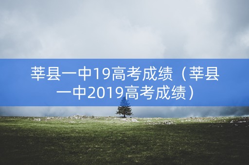 莘县一中19高考成绩（莘县一中2019高考成绩）