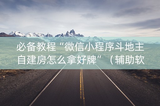 必备教程“微信小程序斗地主自建房怎么拿好牌”（辅助软件)