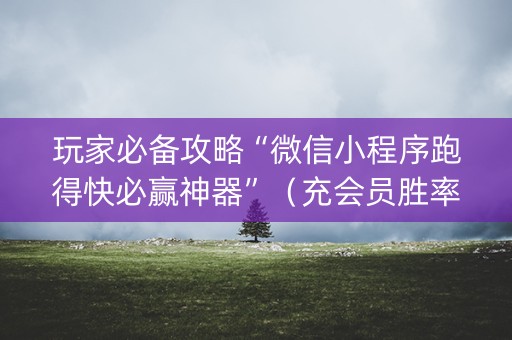 玩家必备攻略“微信小程序跑得快必赢神器”（充会员胜率高)