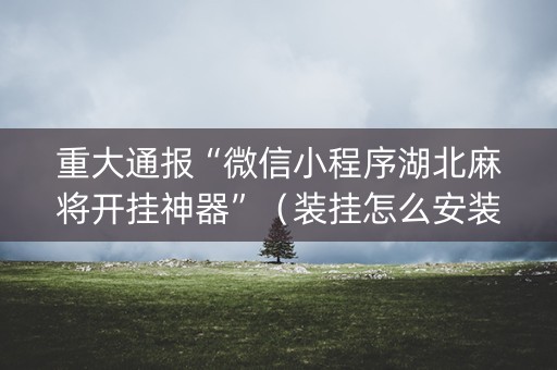 重大通报“微信小程序湖北麻将开挂神器”（装挂怎么安装)