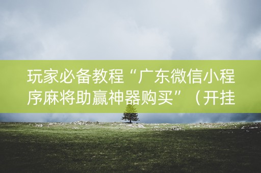 玩家必备教程“广东微信小程序麻将助赢神器购买”（开挂辅助器插件)