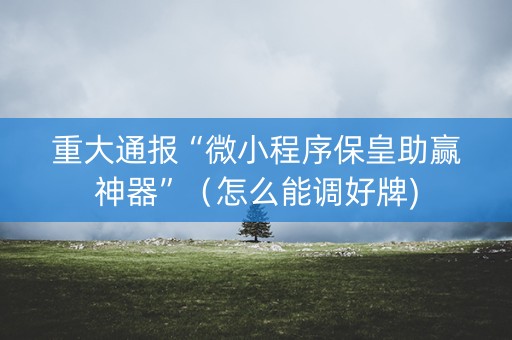 重大通报“微小程序保皇助赢神器”（怎么能调好牌)