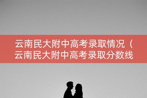 云南民大附中高考录取情况（云南民大附中高考录取分数线2020）