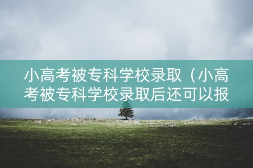 小高考被专科学校录取（小高考被专科学校录取后还可以报专升本吗）