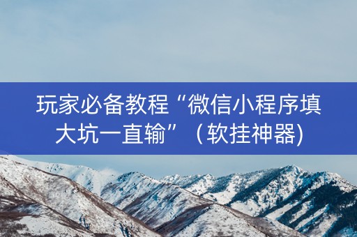 玩家必备教程“微信小程序填大坑一直输”（软挂神器)