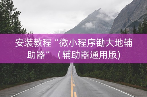安装教程“微小程序锄大地辅助器”（辅助器通用版)