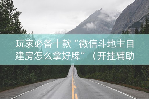 玩家必备十款“微信斗地主自建房怎么拿好牌”（开挂辅助插件)