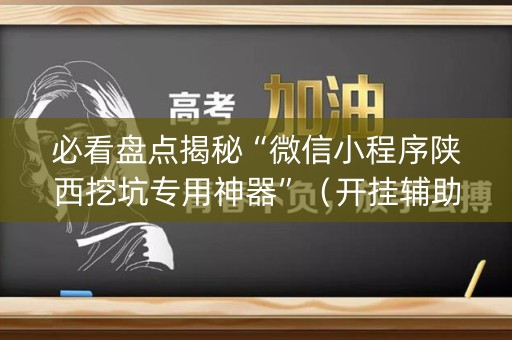 必看盘点揭秘“微信小程序陕西挖坑专用神器”（开挂辅助插件)