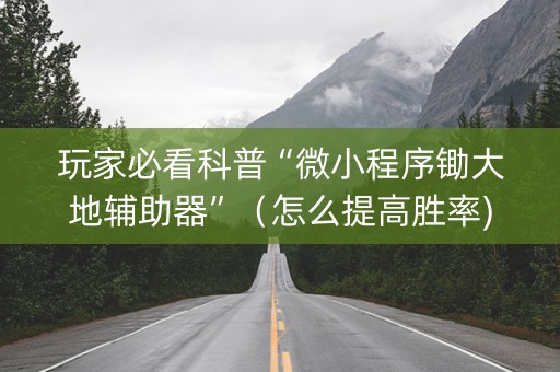 玩家必看科普“微小程序锄大地辅助器”（怎么提高胜率)
