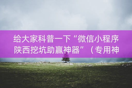 给大家科普一下“微信小程序陕西挖坑助赢神器”（专用神器)