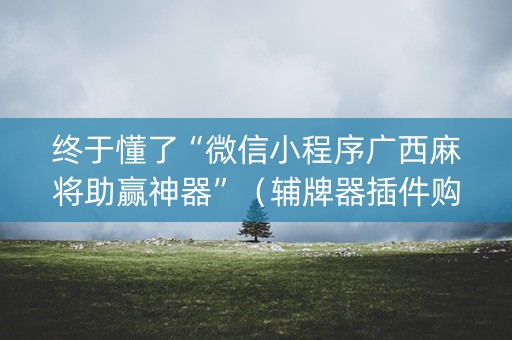 终于懂了“微信小程序广西麻将助赢神器”（辅牌器插件购买)