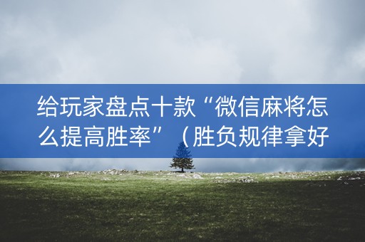 给玩家盘点十款“微信麻将怎么提高胜率”（胜负规律拿好牌)