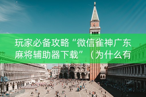 玩家必备攻略“微信雀神广东麻将辅助器下载”（为什么有人一直赢)