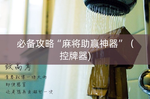必备攻略“麻将助赢神器”（控牌器)