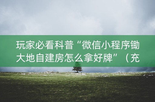 玩家必看科普“微信小程序锄大地自建房怎么拿好牌”（充会员胜率高)